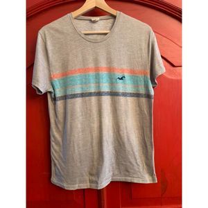 Hollister Small Retro Look Stripe Bird Logo Embroidered Grey Gray T Shirt EUC